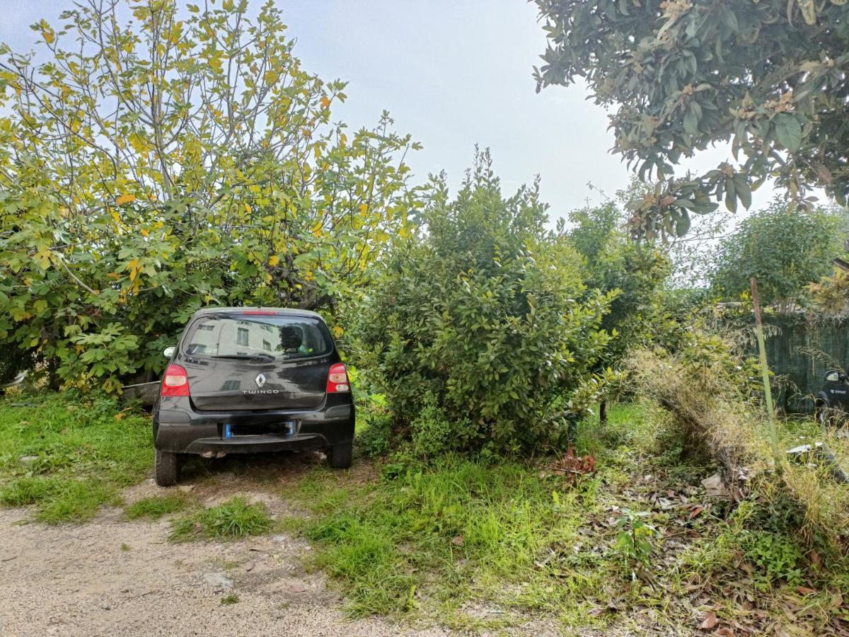 Un Bel Appartement Rez Jardin Parking Gratuit Vence Kültér fotó